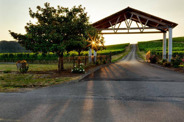 Yamhill Valley Vineyards