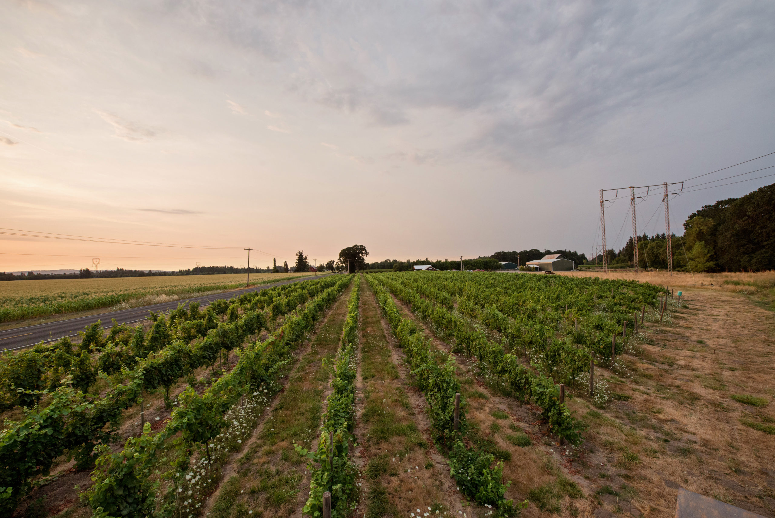 Whiskey Hill Winery & Postlewait’s Vineyards