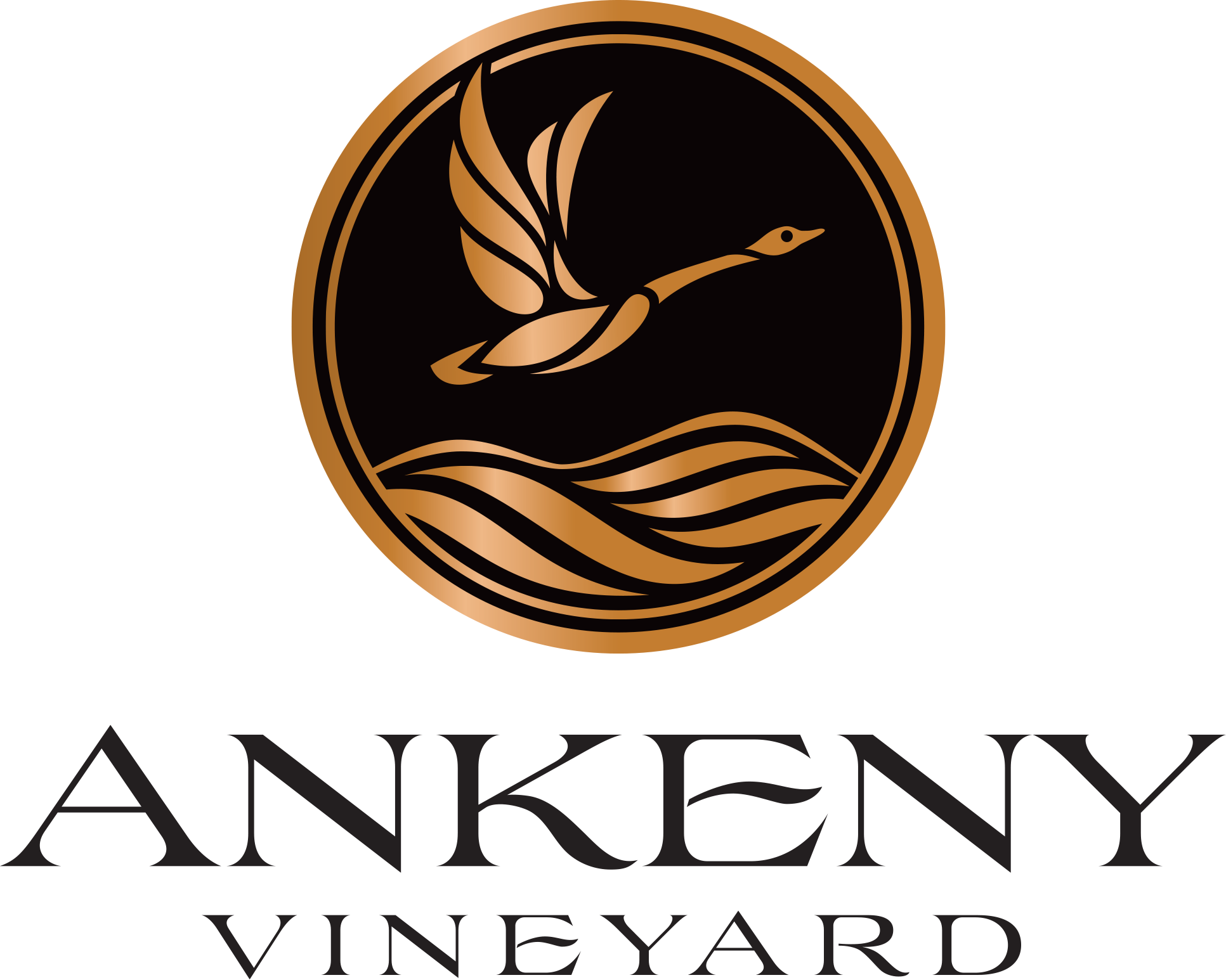 Ankeny Vineyard Logo