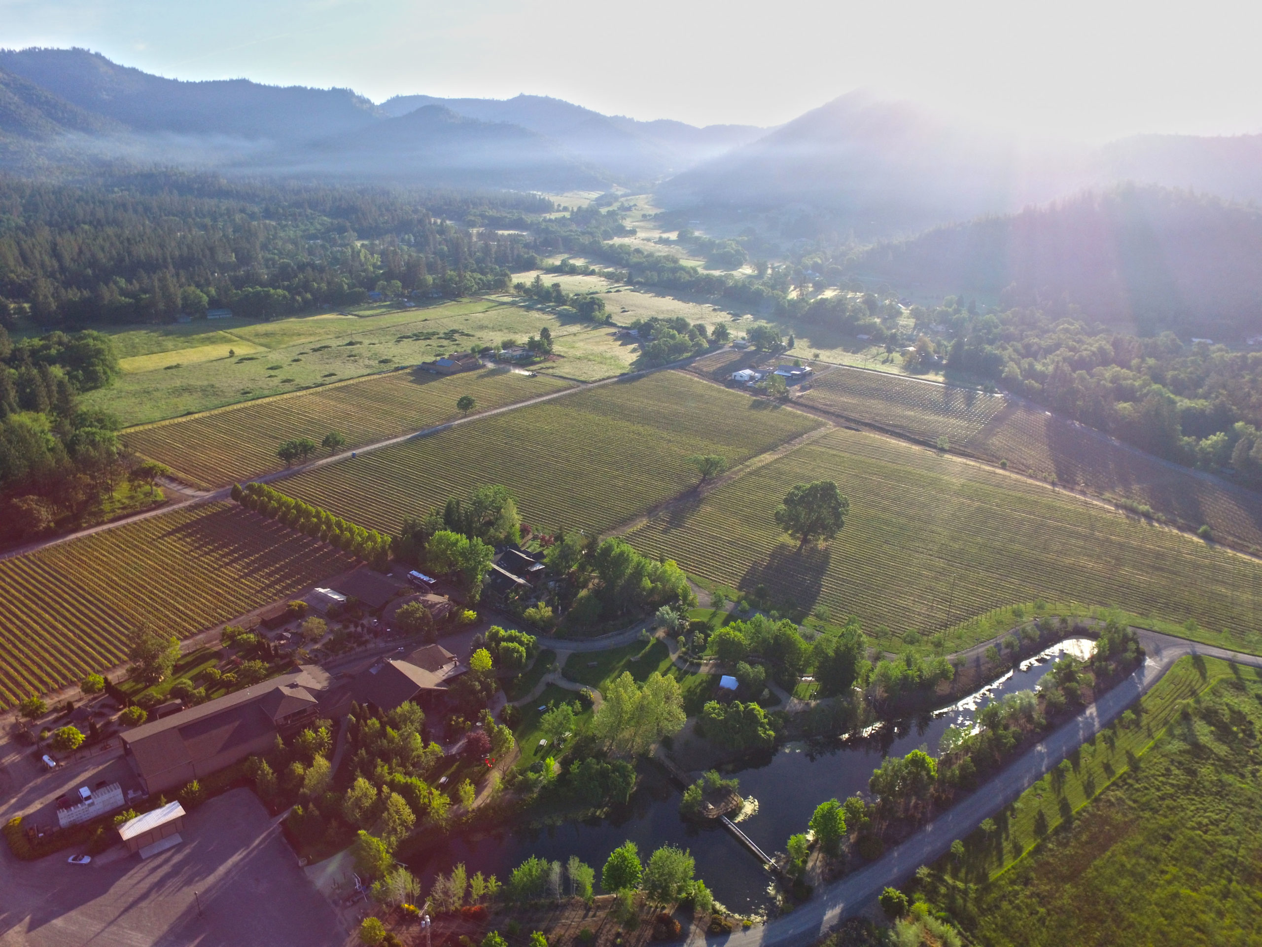 Schmidt Family Vineyards