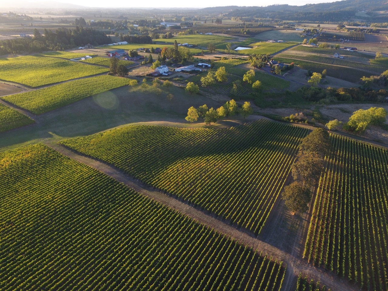 Lachini Estate Vineyard & Tasting Room