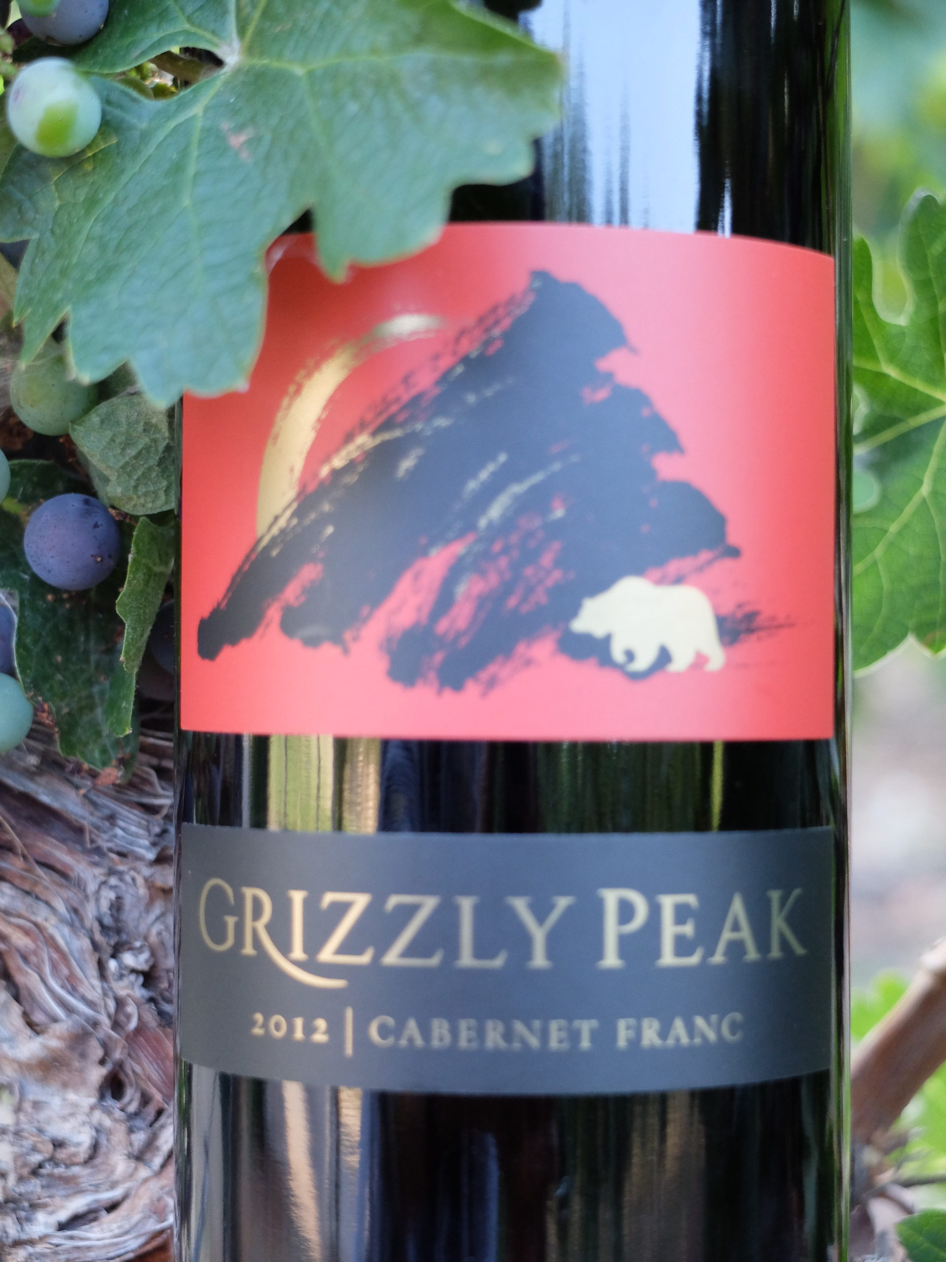 Grizzly Peak Winery