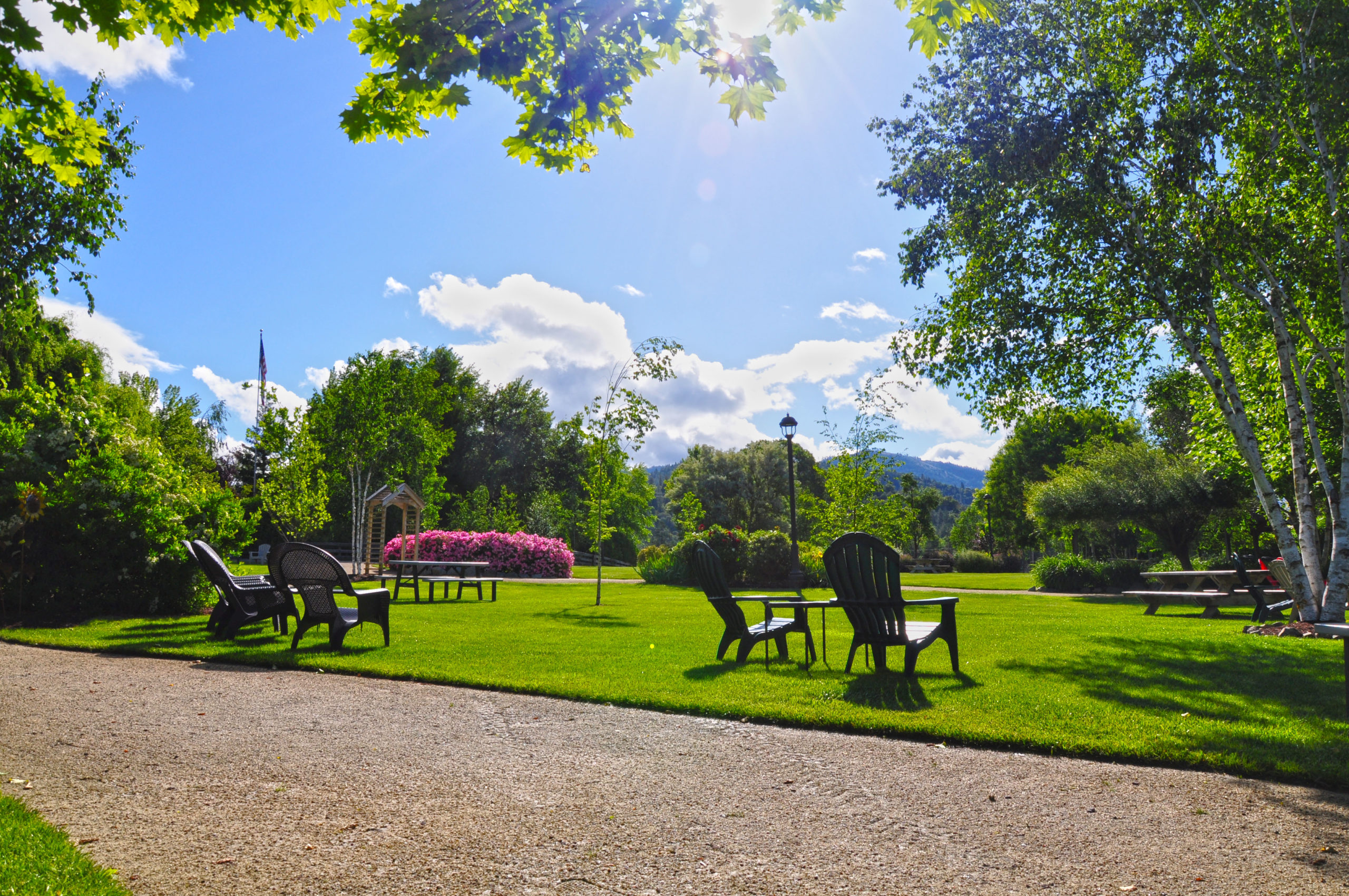 Schmidt Family Vineyards