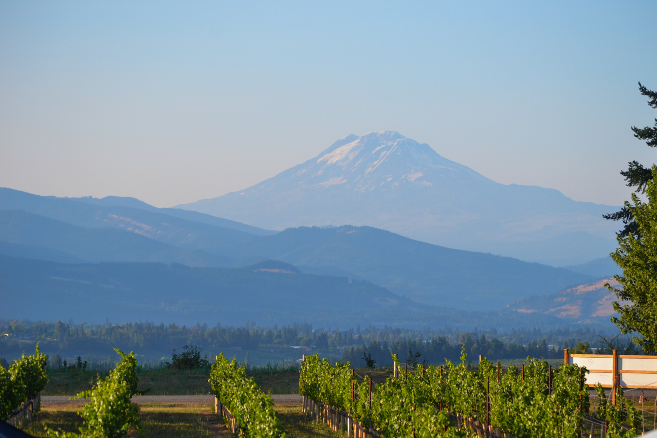 Stave & Stone Winery at the Vineyard