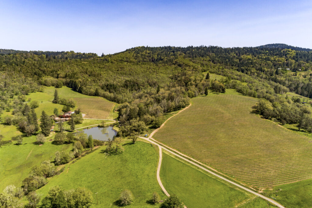 An aerial view of a lush green vineyard and landscape