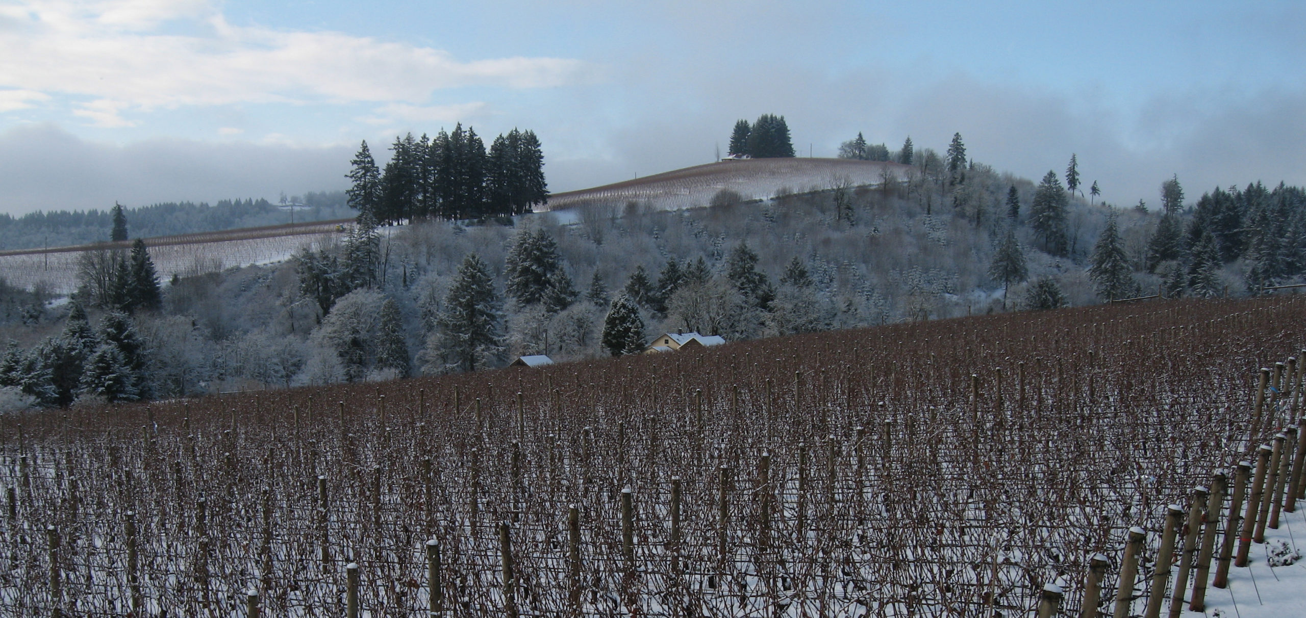 Élevée Winegrowers