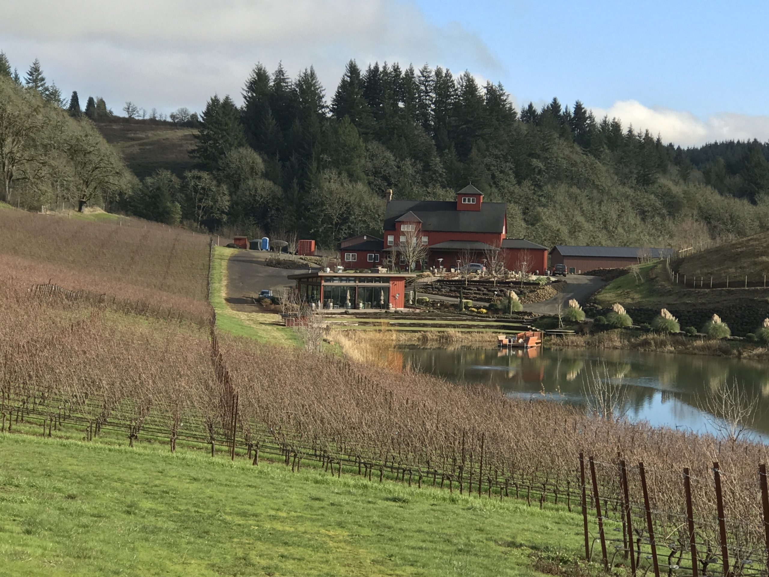 Dukes Family Vineyards