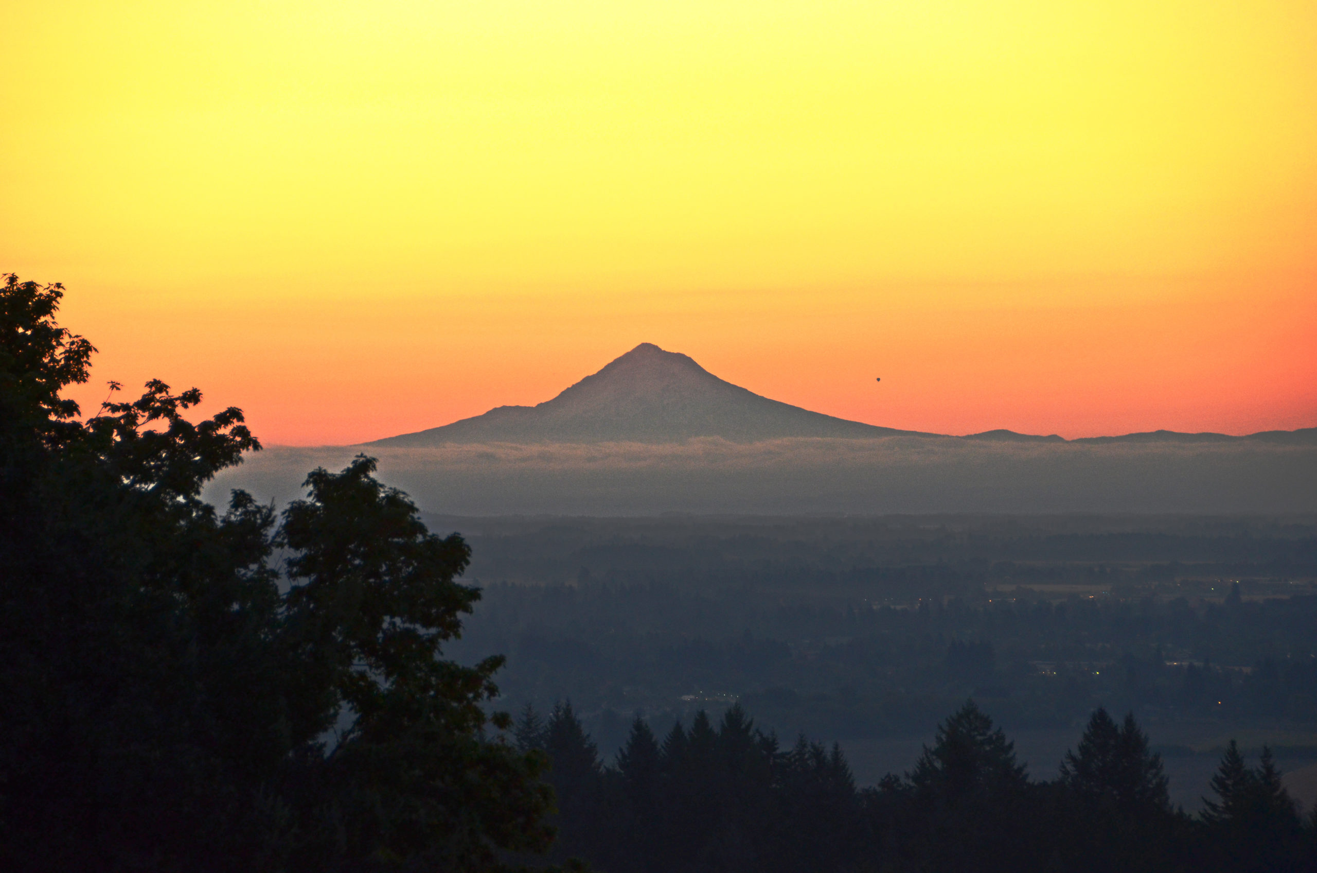 Youngberg Hill