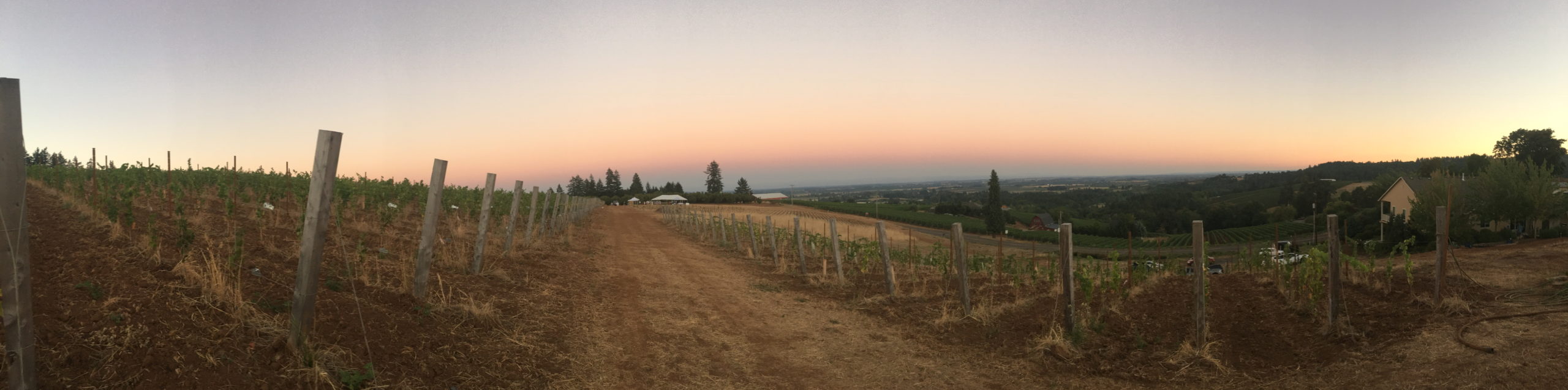 Cramoisi Vineyard