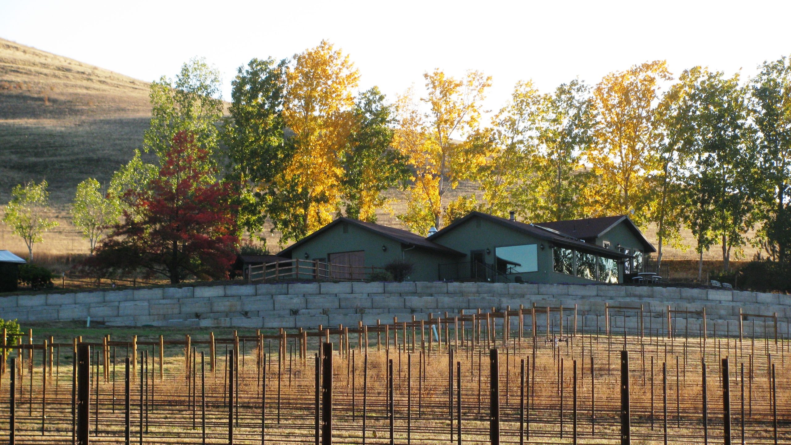 Dana Campbell Vineyards