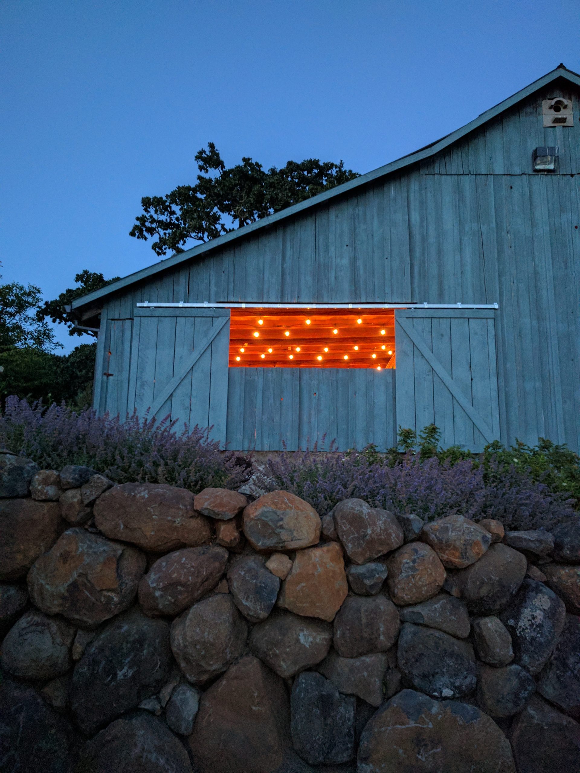 Flâneur Wines at La Belle Promenade Vineyard