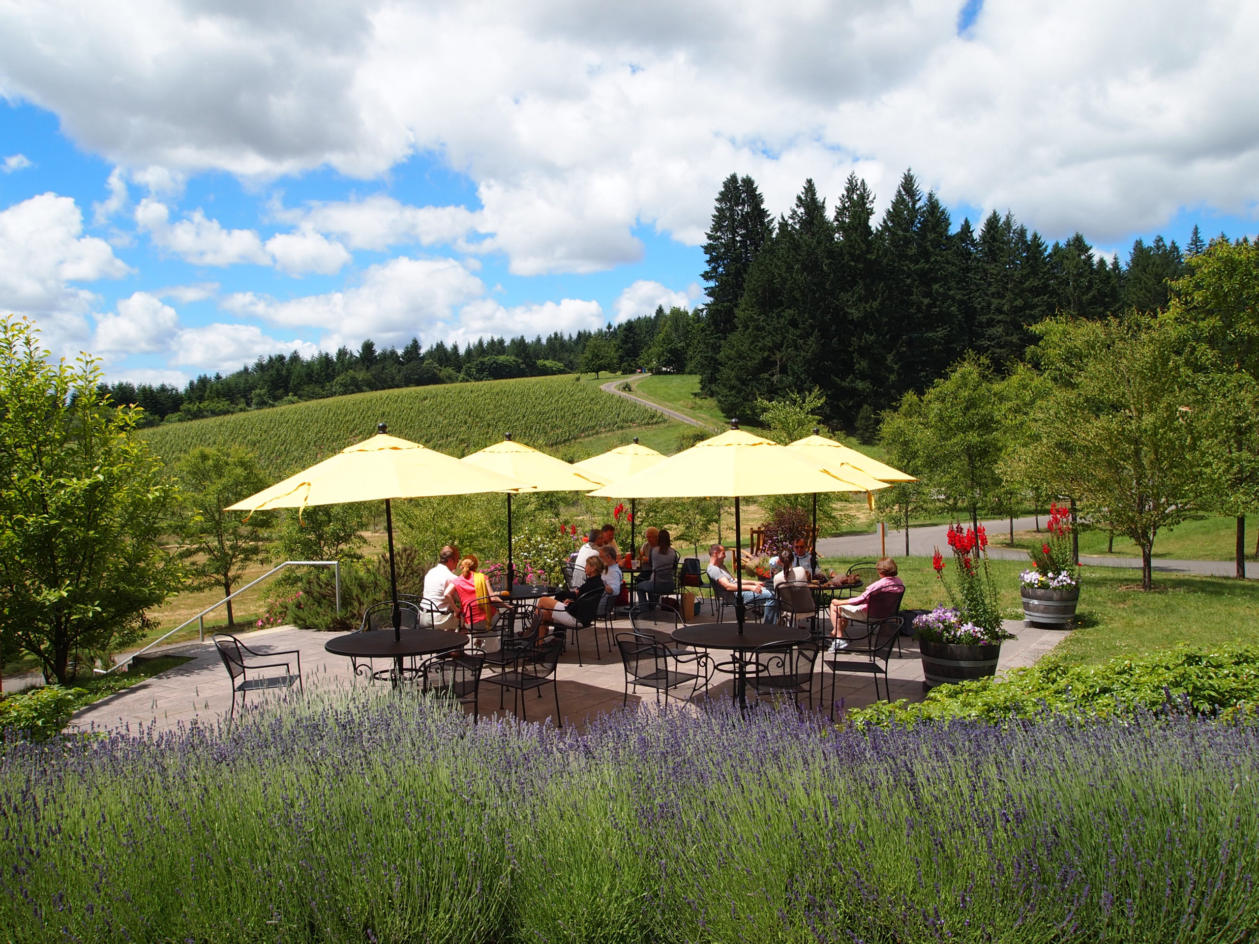 Lemelson Vineyards