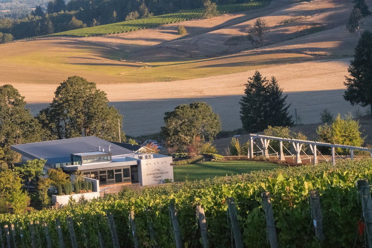 Saffron Fields Vineyard