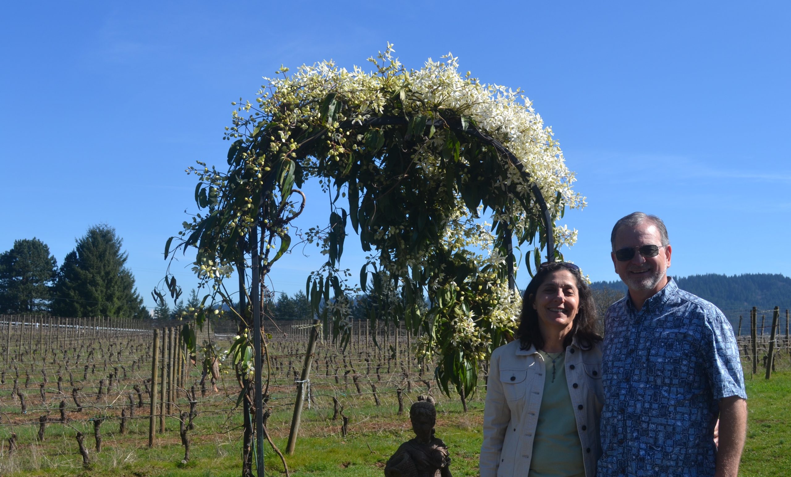 The Potter’s Vineyard & Clay Art Gallery