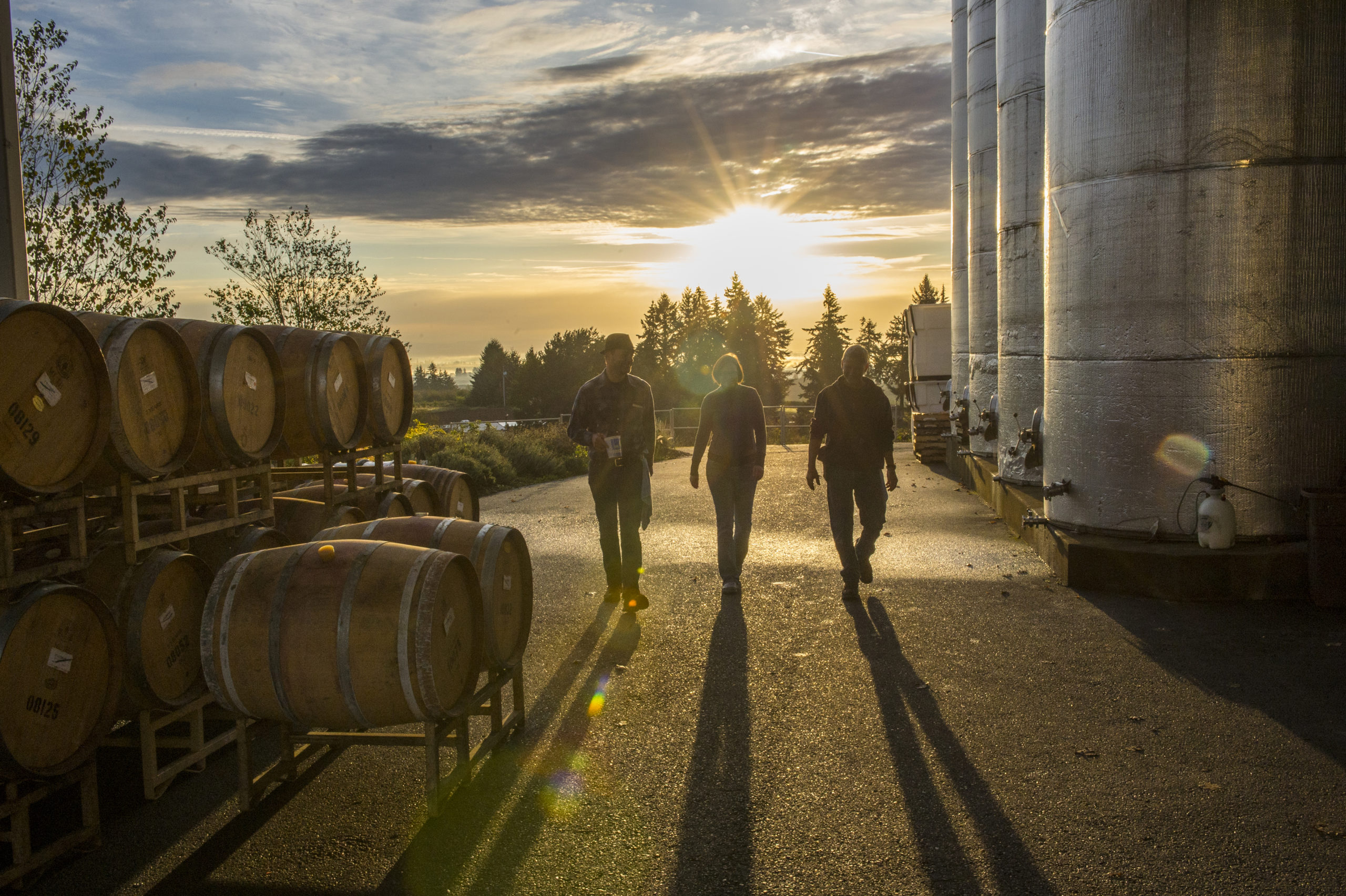 Sokol Blosser Winery