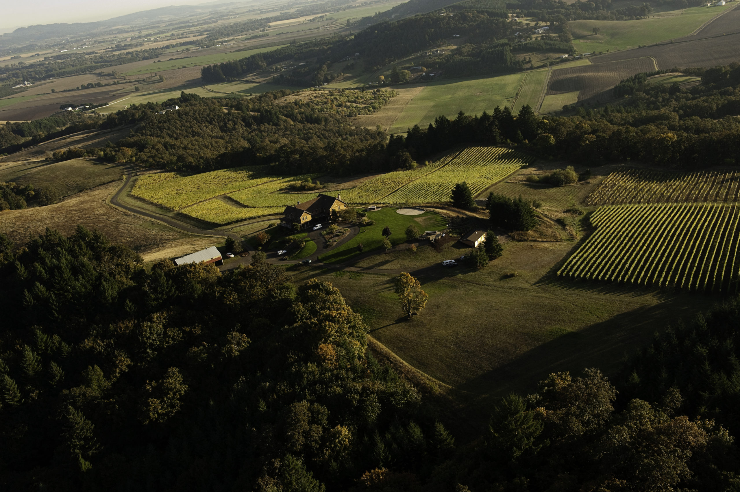 Youngberg Hill