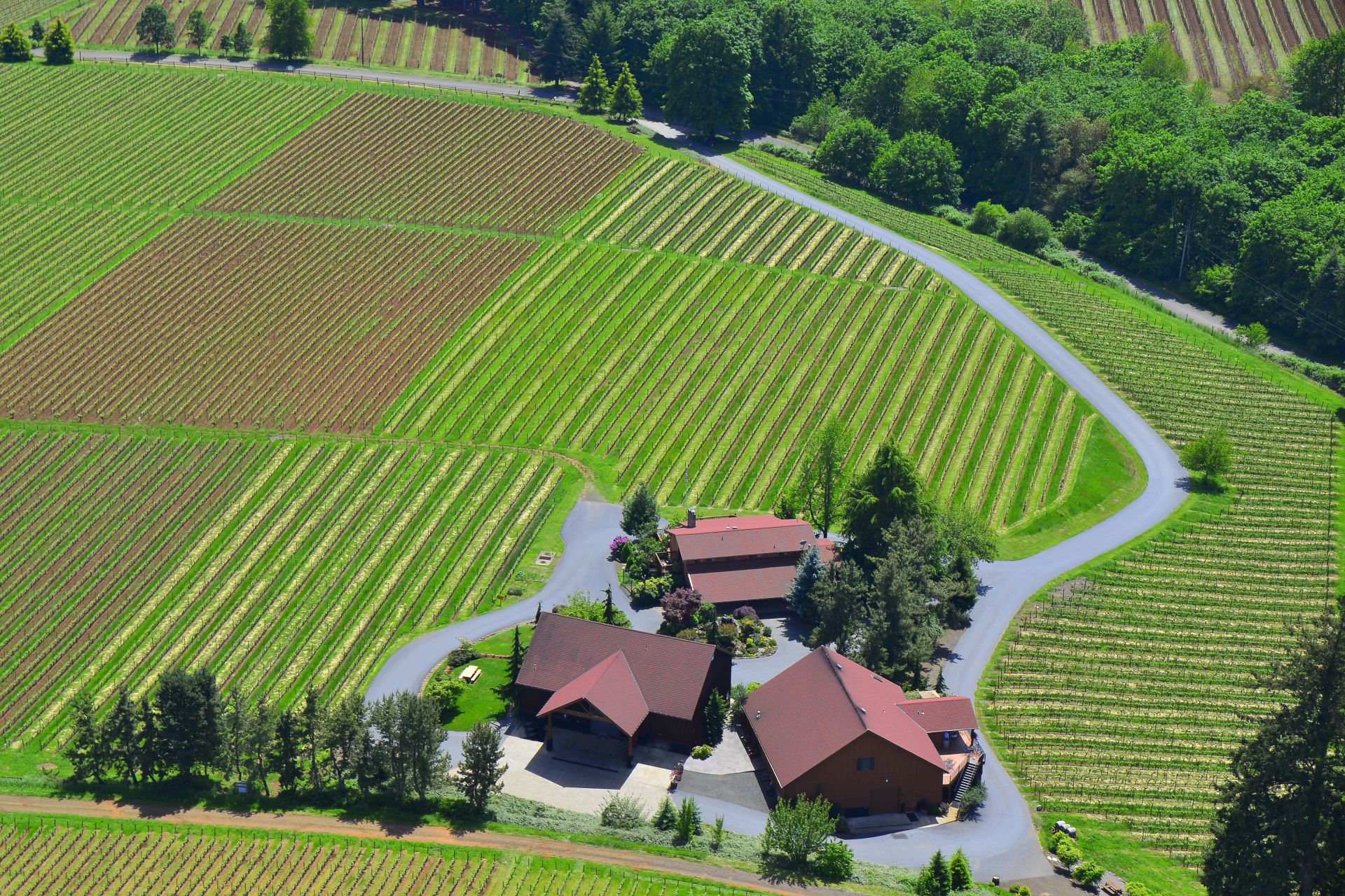 De Ponte Cellars Vineyard and Winery Tasting Room