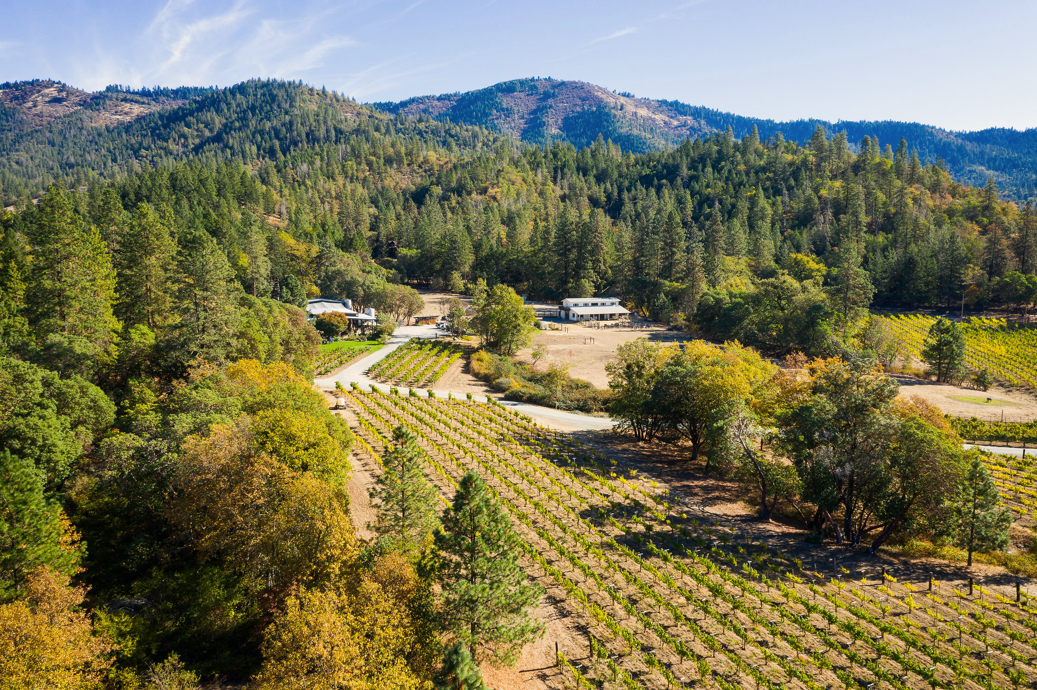 uncorked wine tour applegate valley