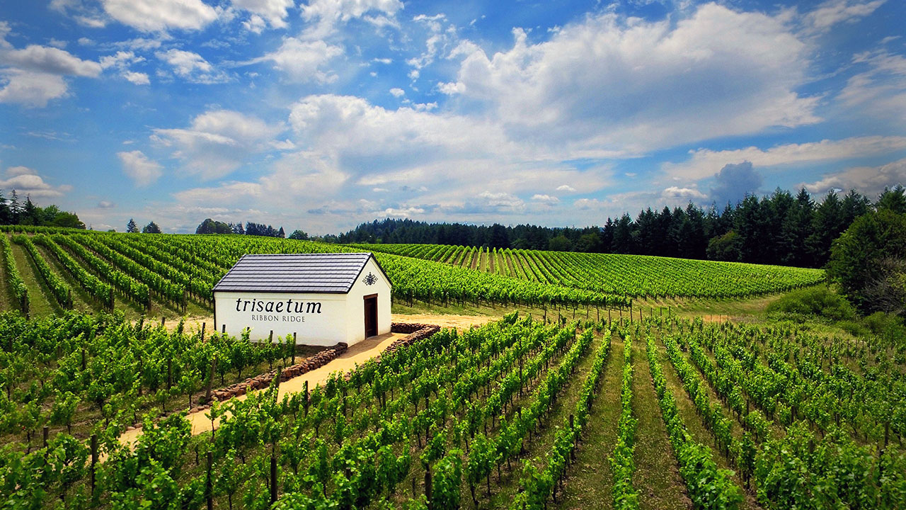 Trisaetum Winery & Art Gallery