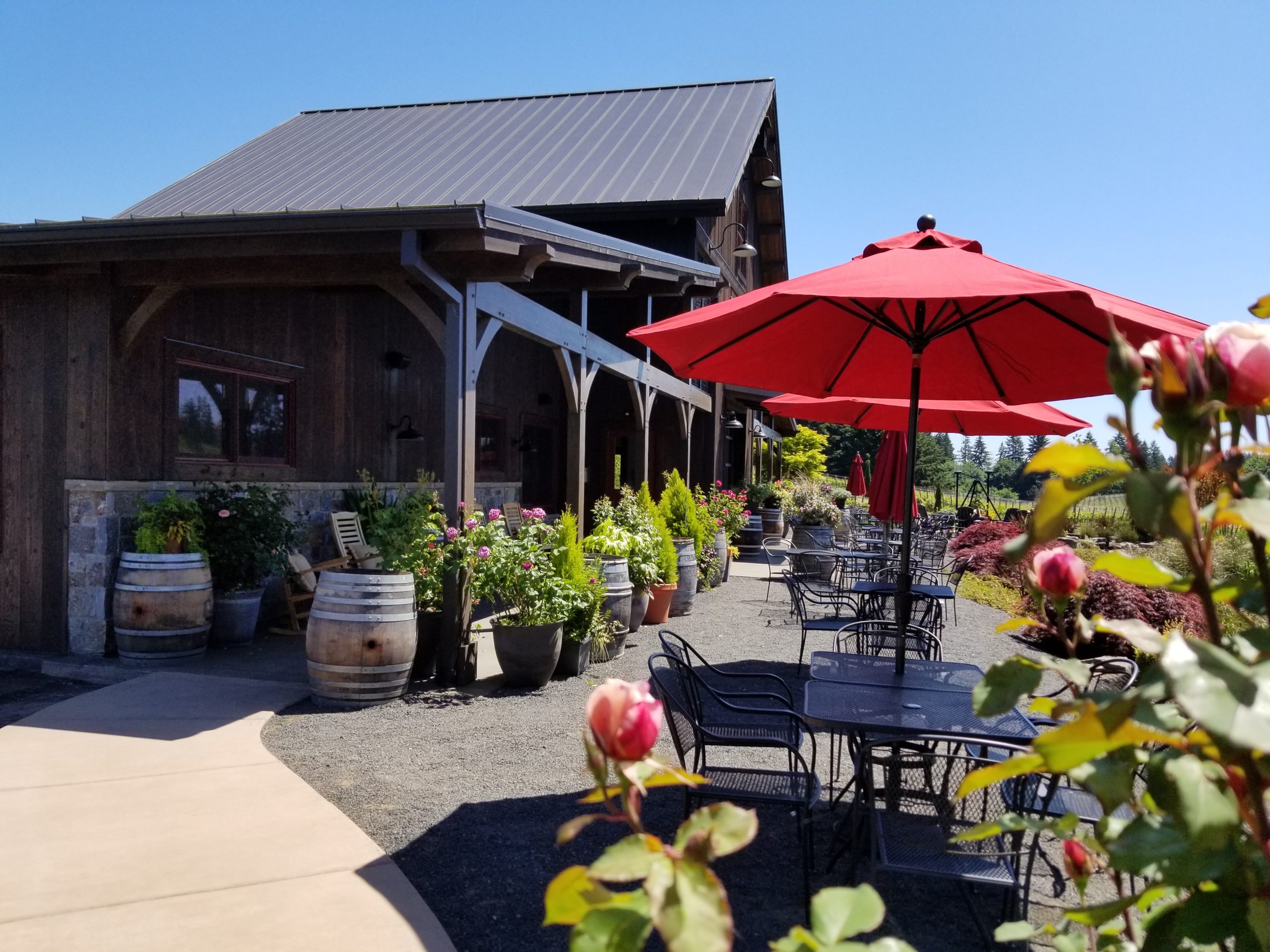 Tumwater Vineyard