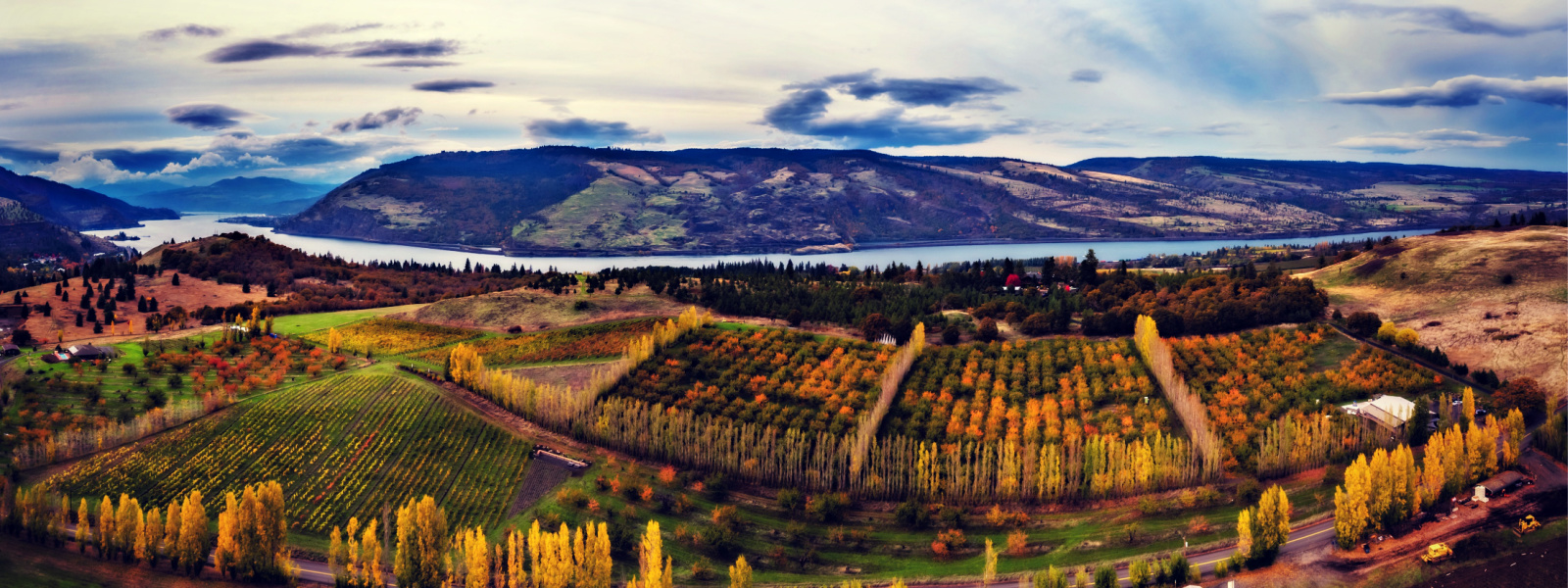 Analemma Wines