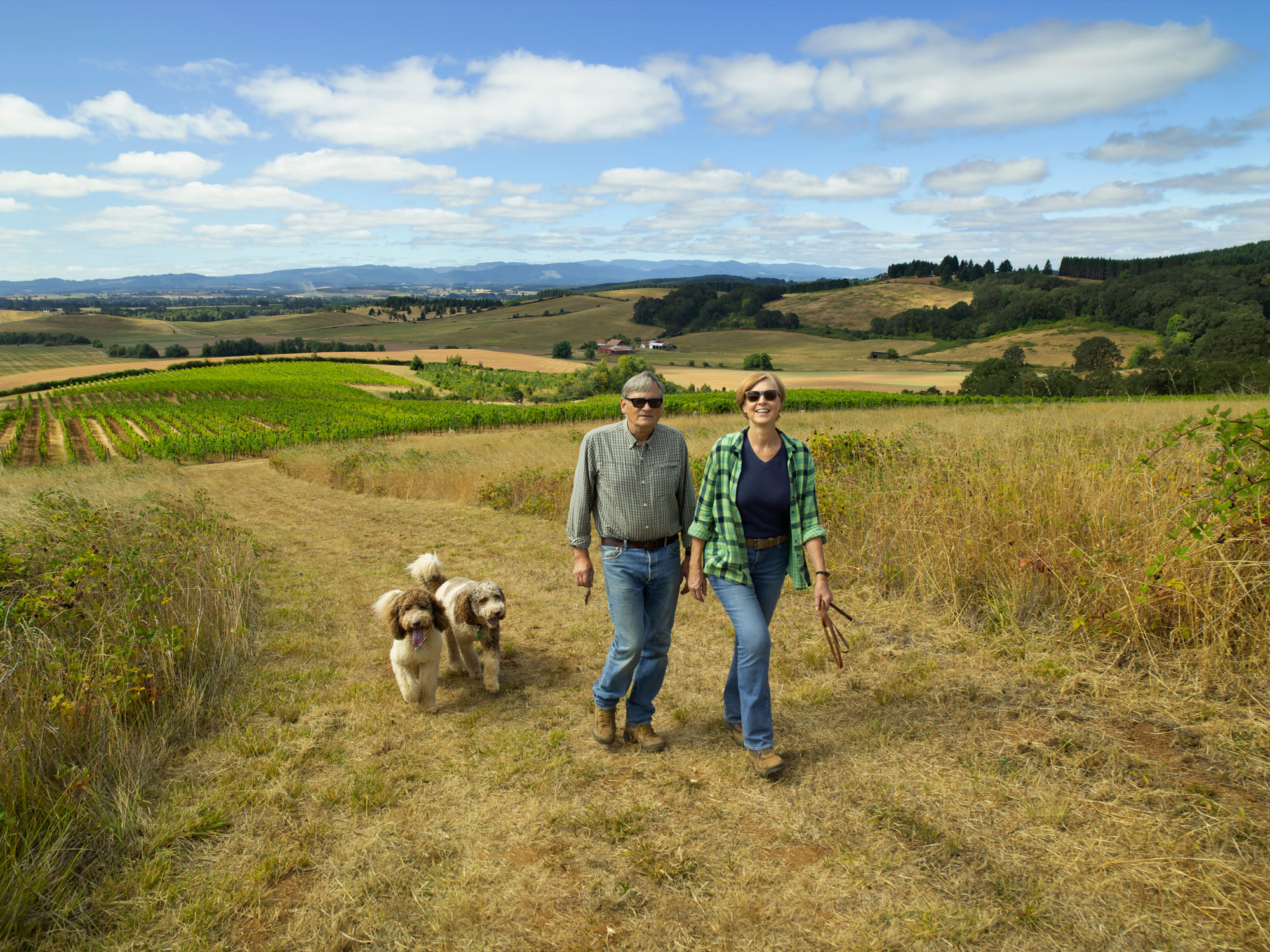 Brittan Vineyards