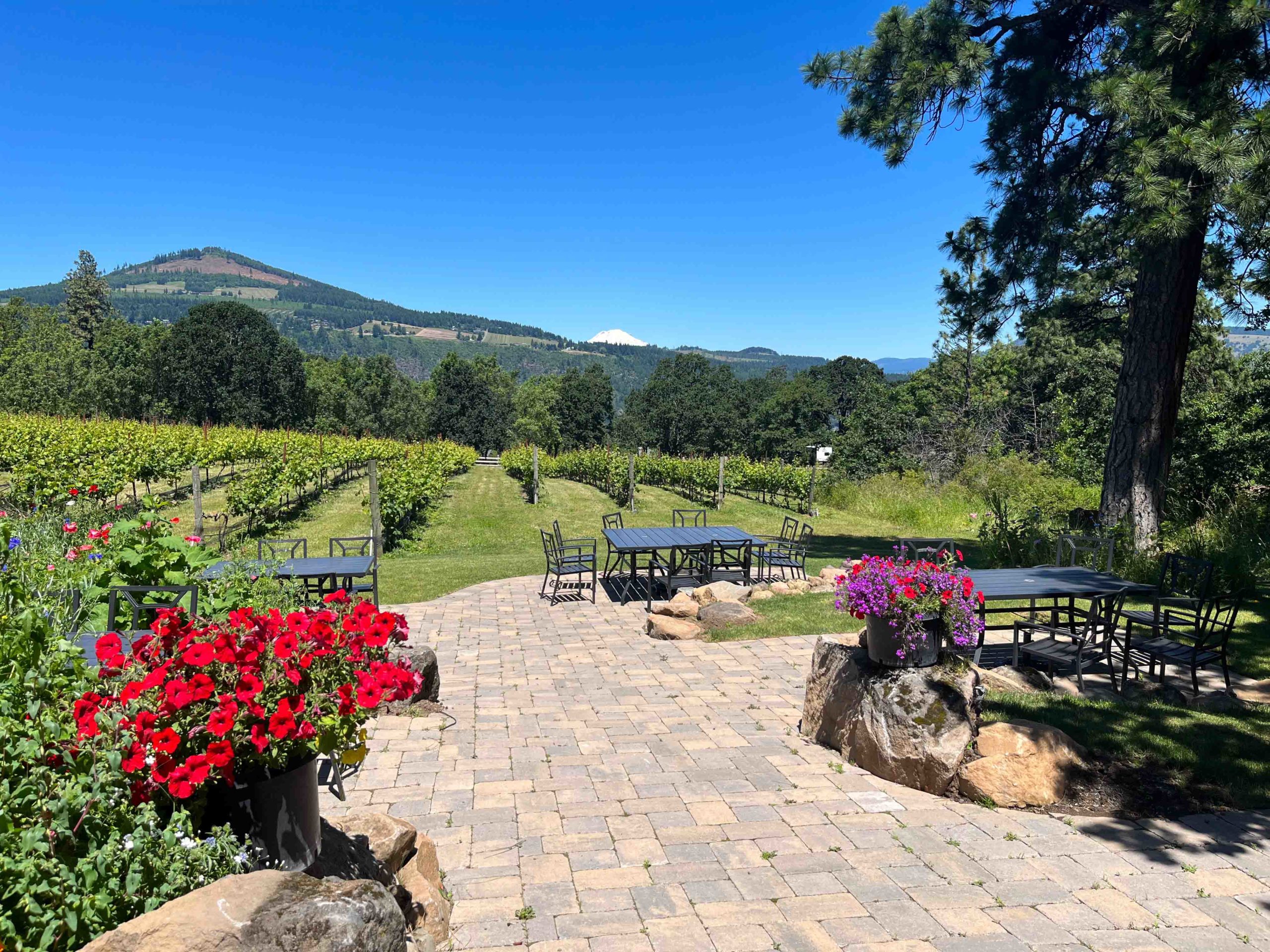 Cathedral Ridge Winery, Hood River