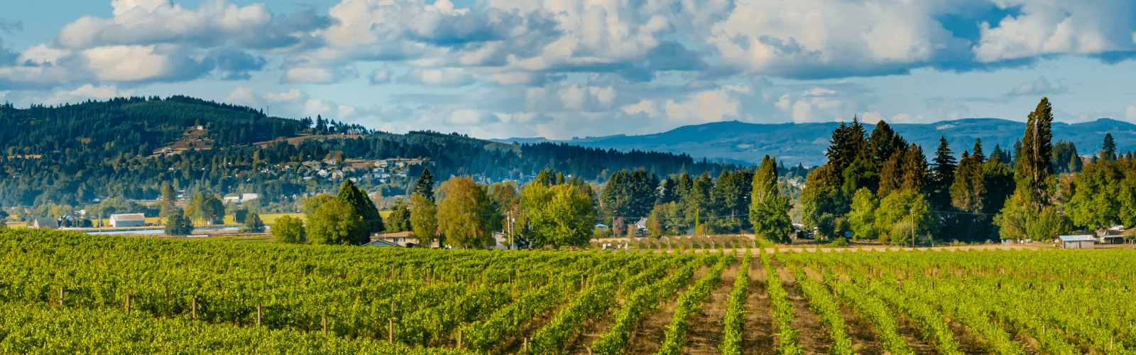 The Grove: Featuring Montinore Estate & Landlines Estates