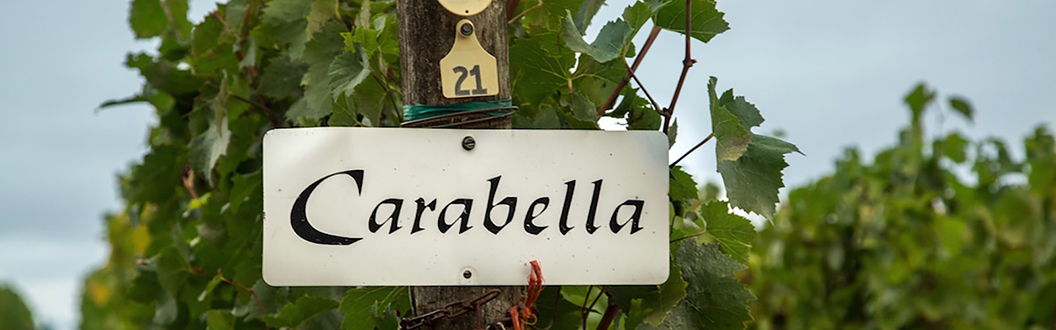 Carabella Vineyard