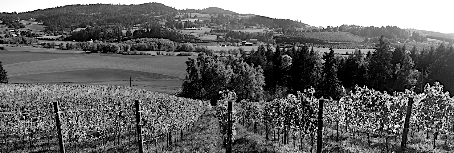 The South Face Winery