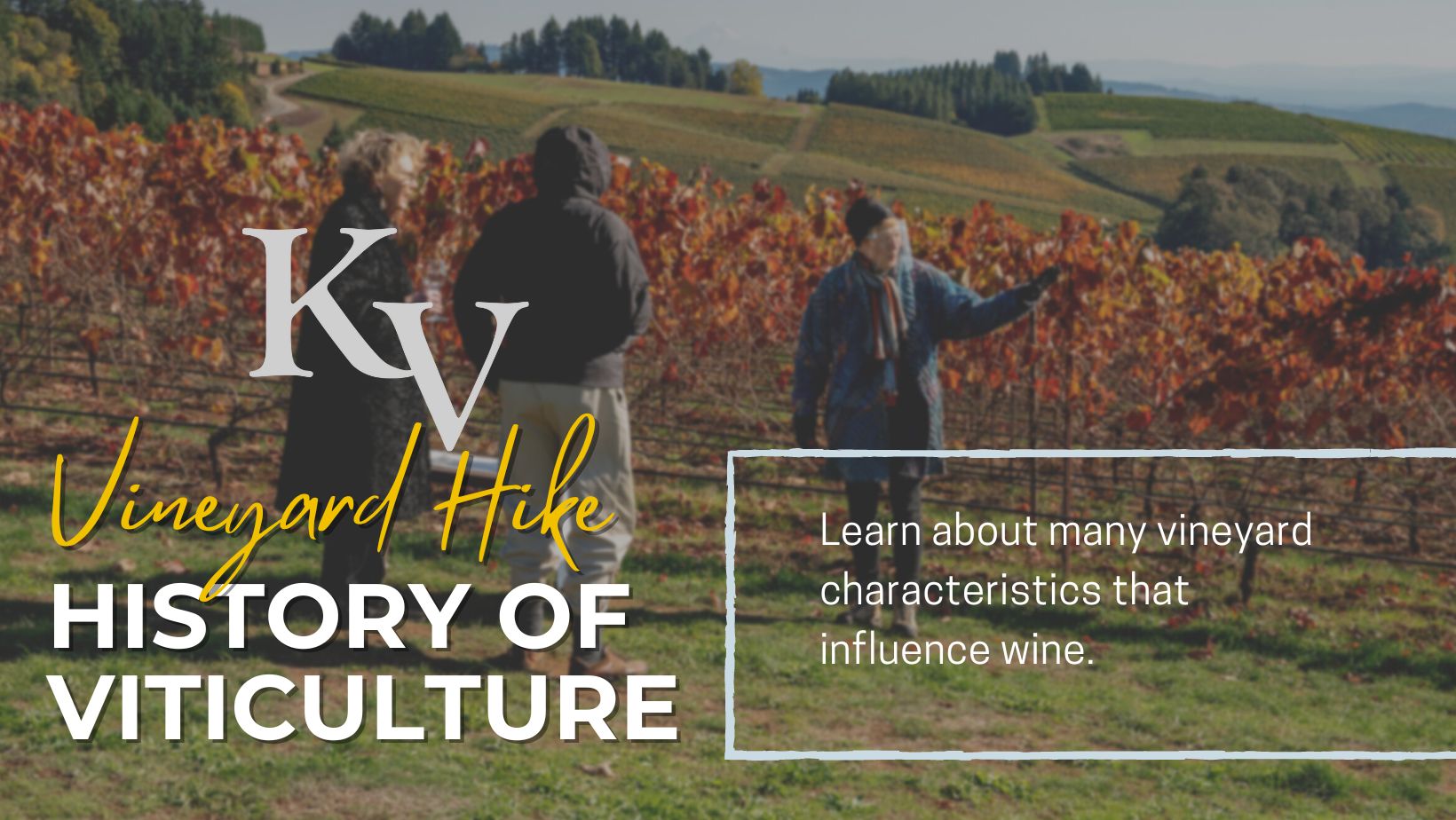 History of Viticulture Vineyard Hike | Wine Tasting & Lunch