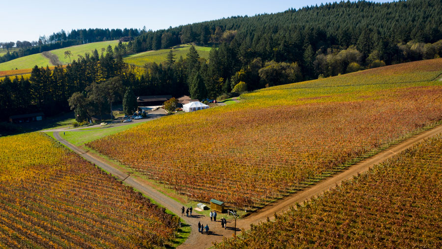 Oregon Wine Board placeholder image