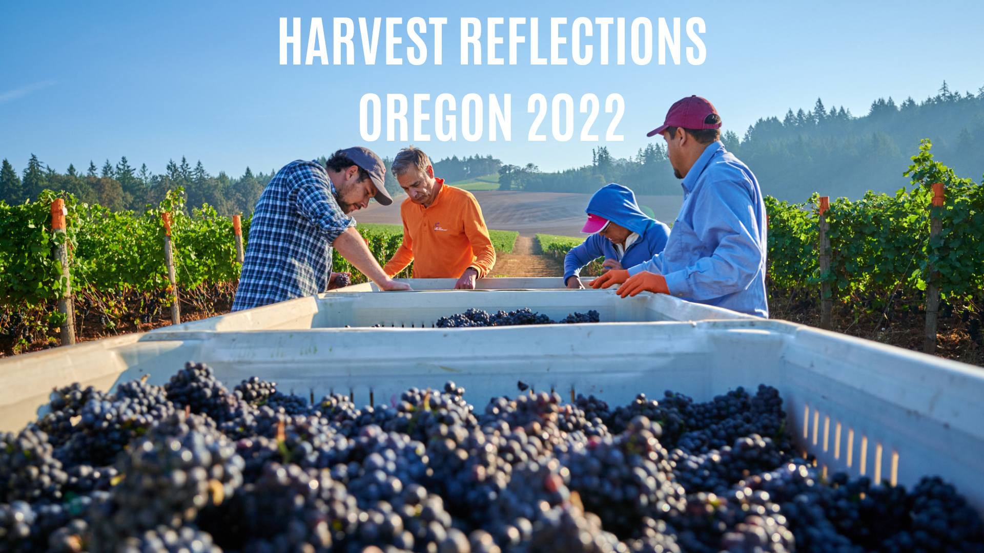 A Year to Remember: Reflections on Oregon’s 2022 Harvest