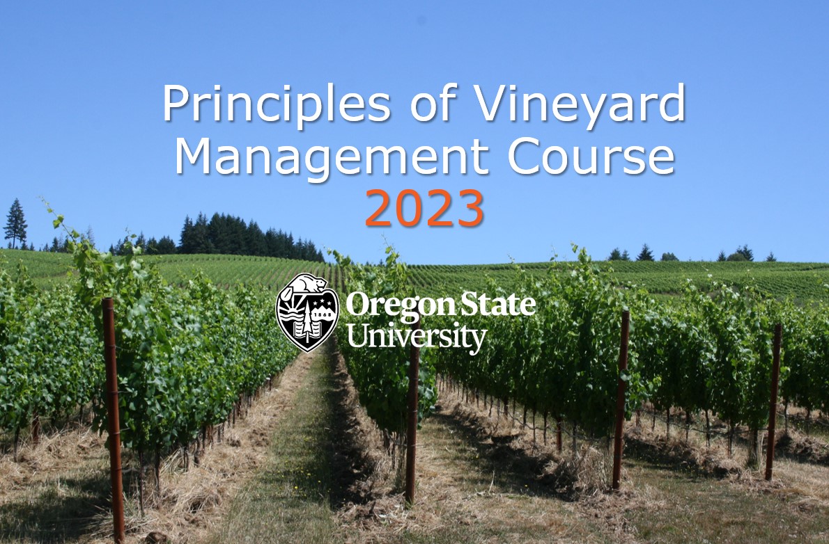 Vineyard Management Online Class