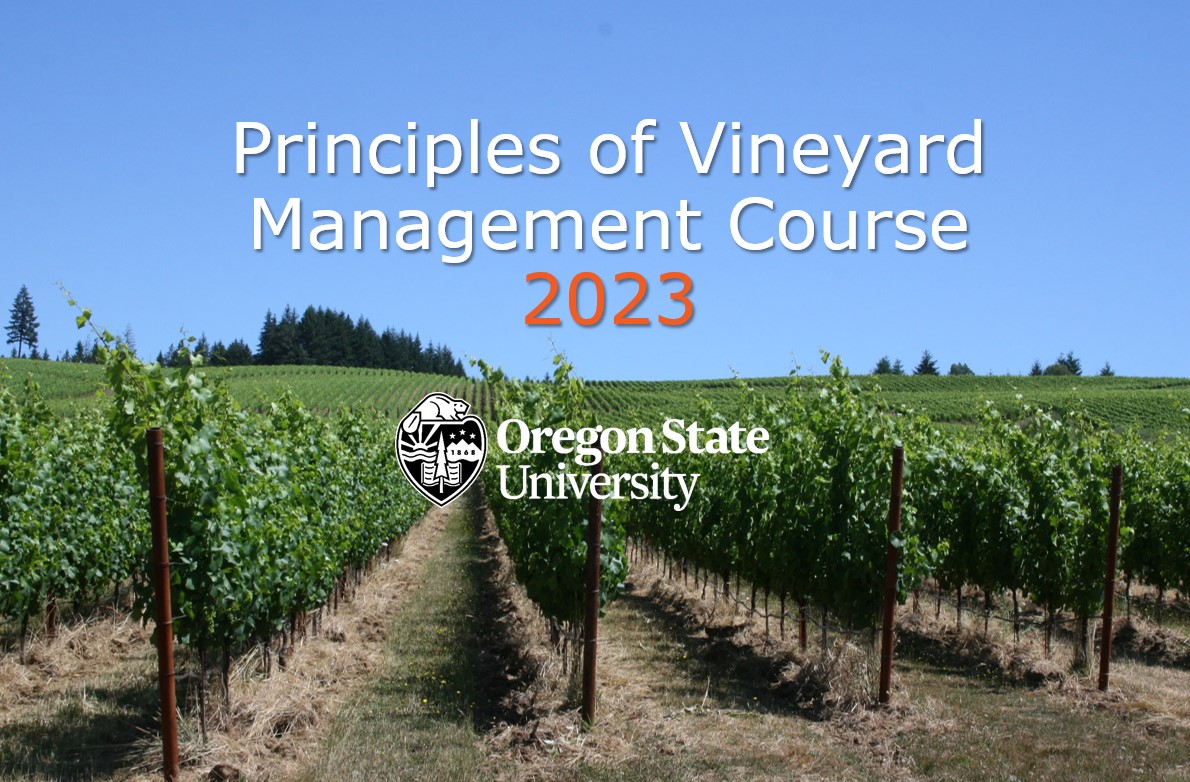 Oregon Wine Board placeholder image