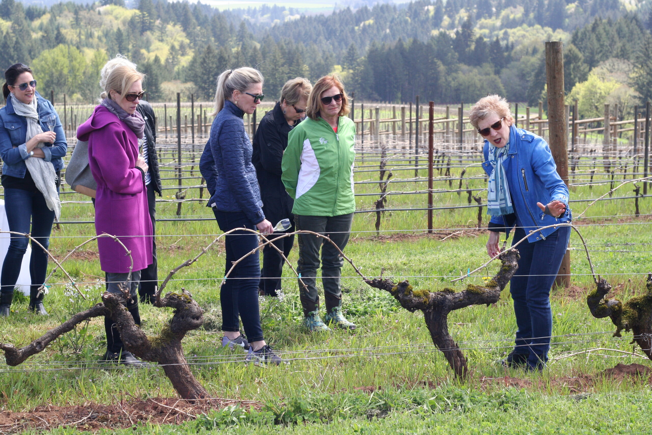 Oregon Wine Board placeholder image