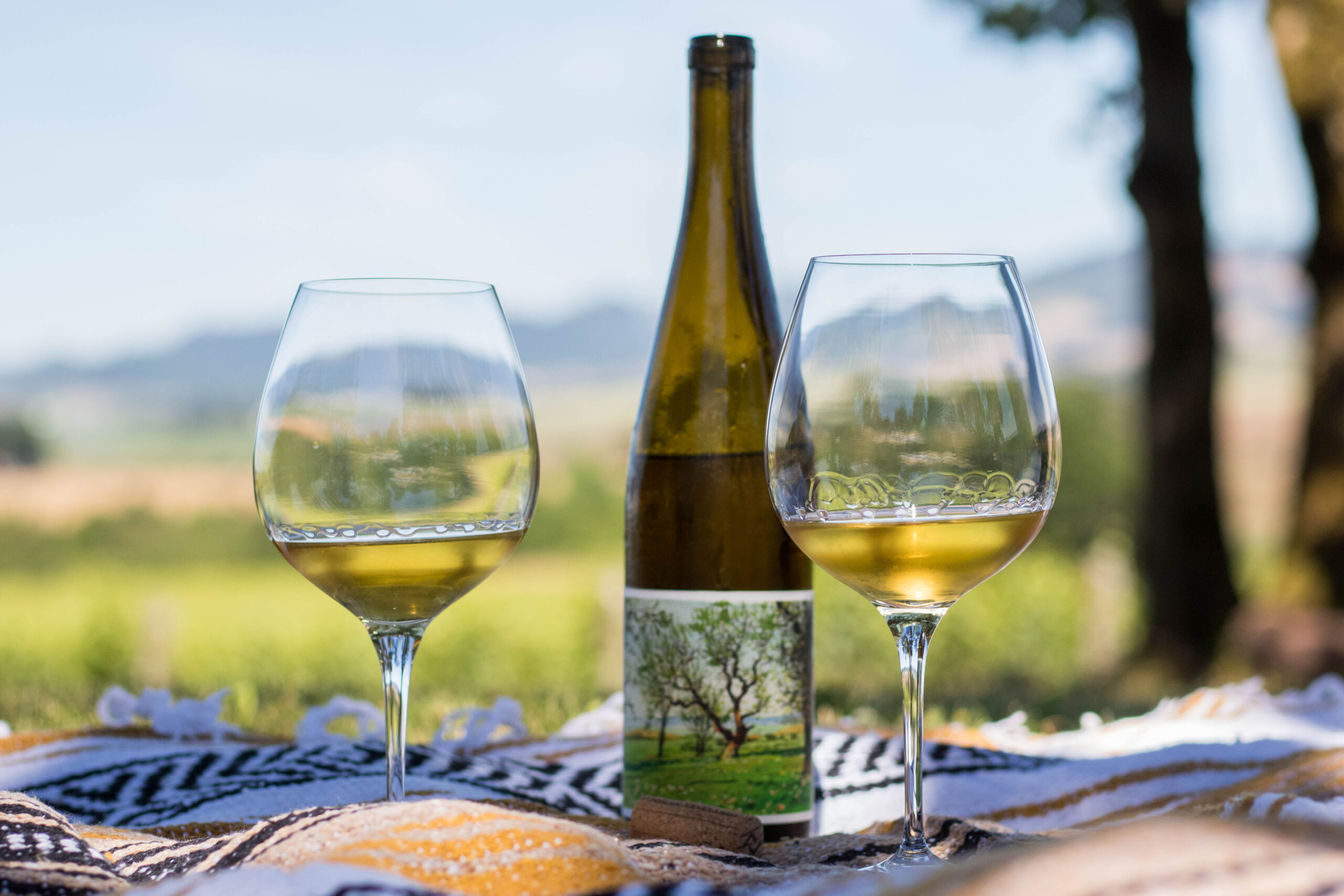 Oregon Wine Board placeholder image