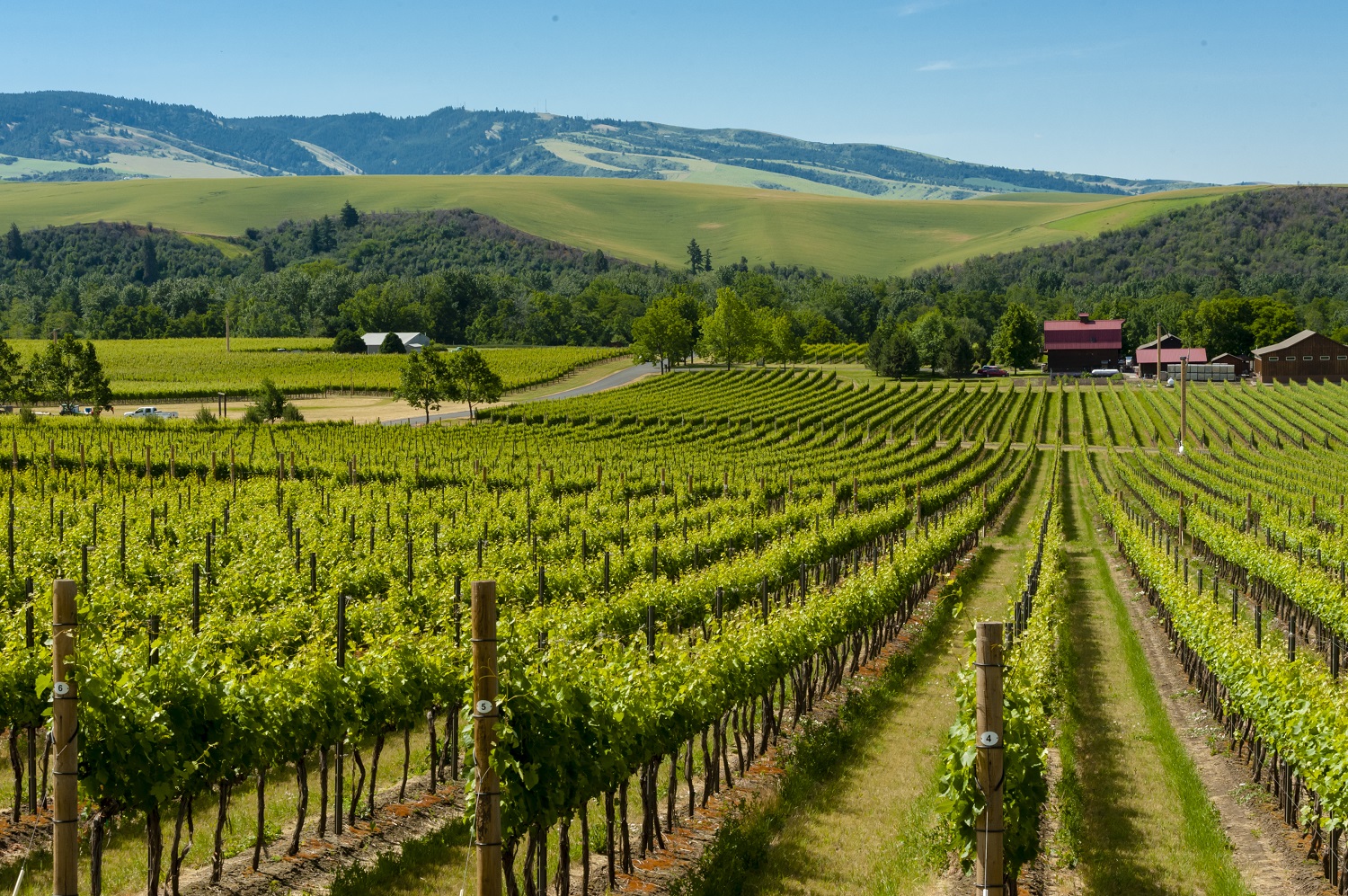 Visit: Walla Walla Valley & the Rocks District of Milton-Freewater