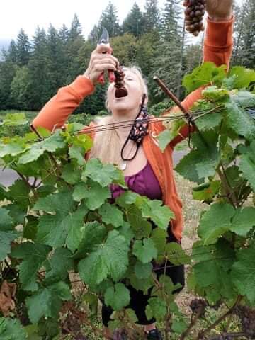 Oregon Wine Board placeholder image
