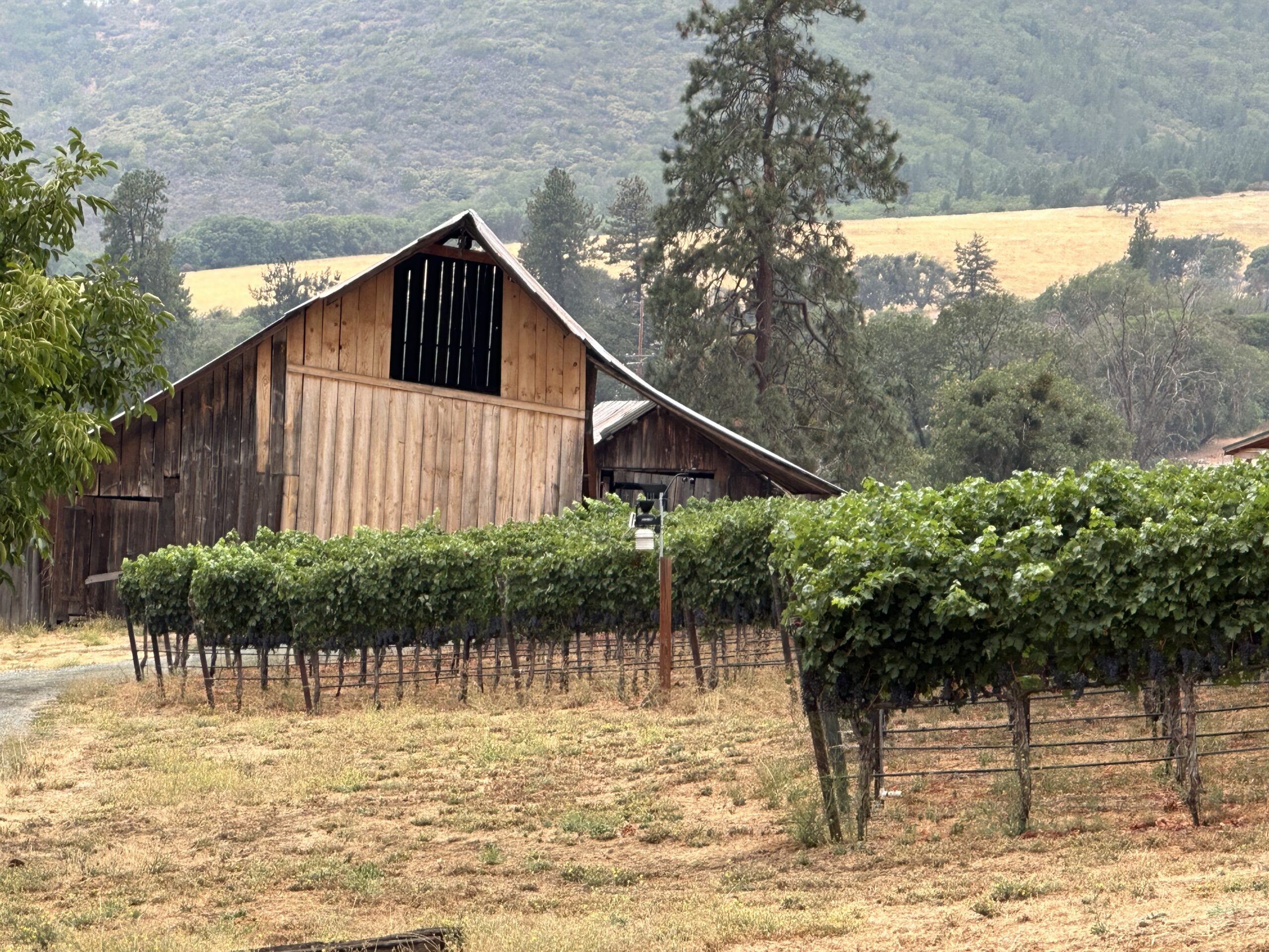 Crooked Barn Vineyards