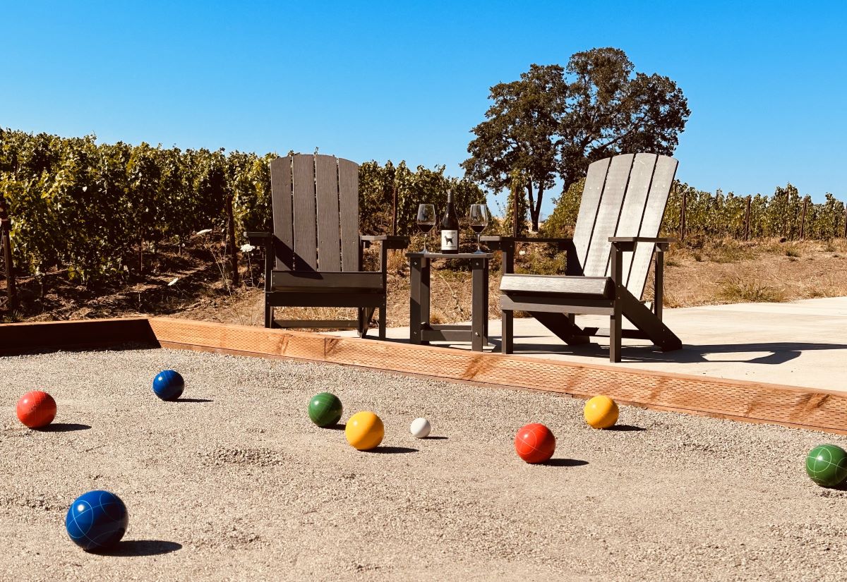 Black Dog Vineyard
