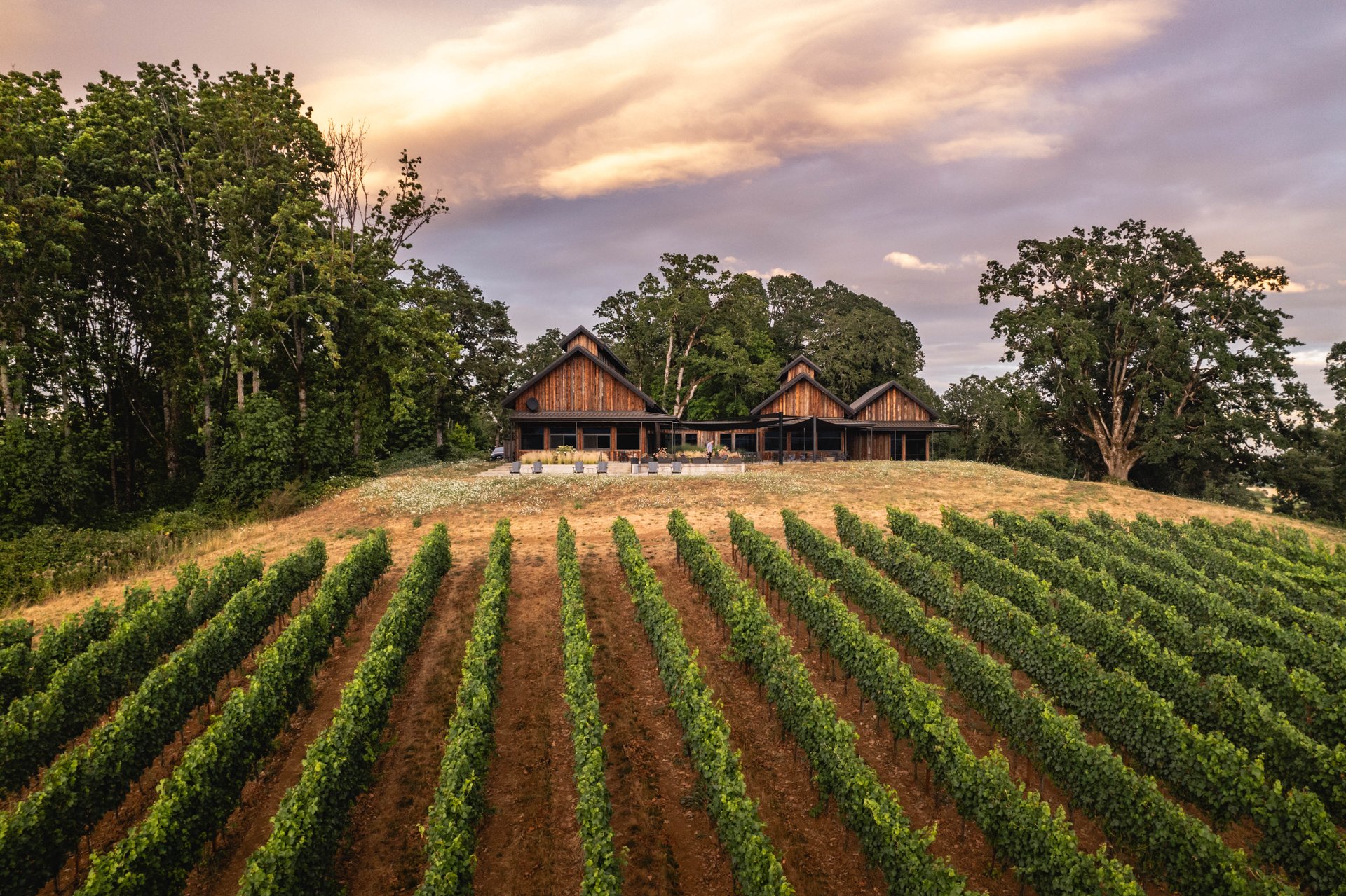 Oregon Wines Hit High Notes with Wine Critics in 2023