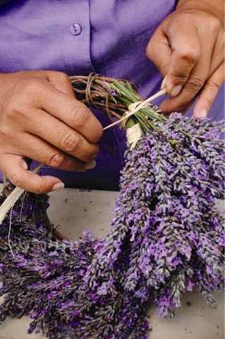 Lavender Wreath Workshop + Wine