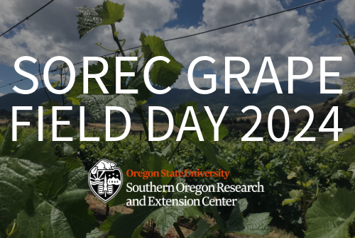 2024 SOREC Grape Field Day
