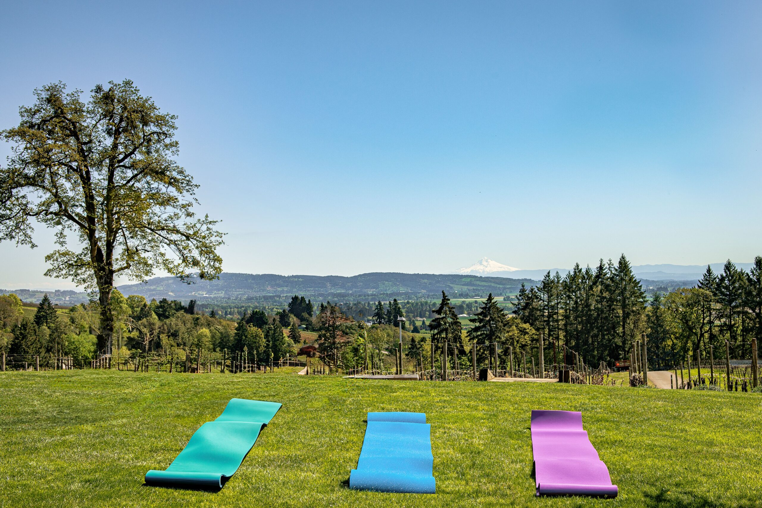 Pilates on the Lawn