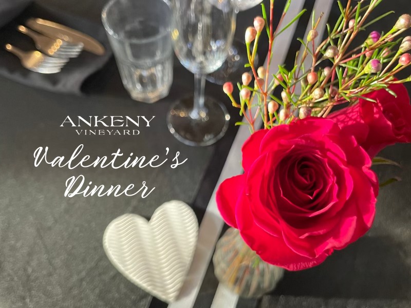 Valentine’s Day Dinner