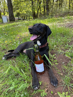 Hudak Family Vineyards | Hudak House