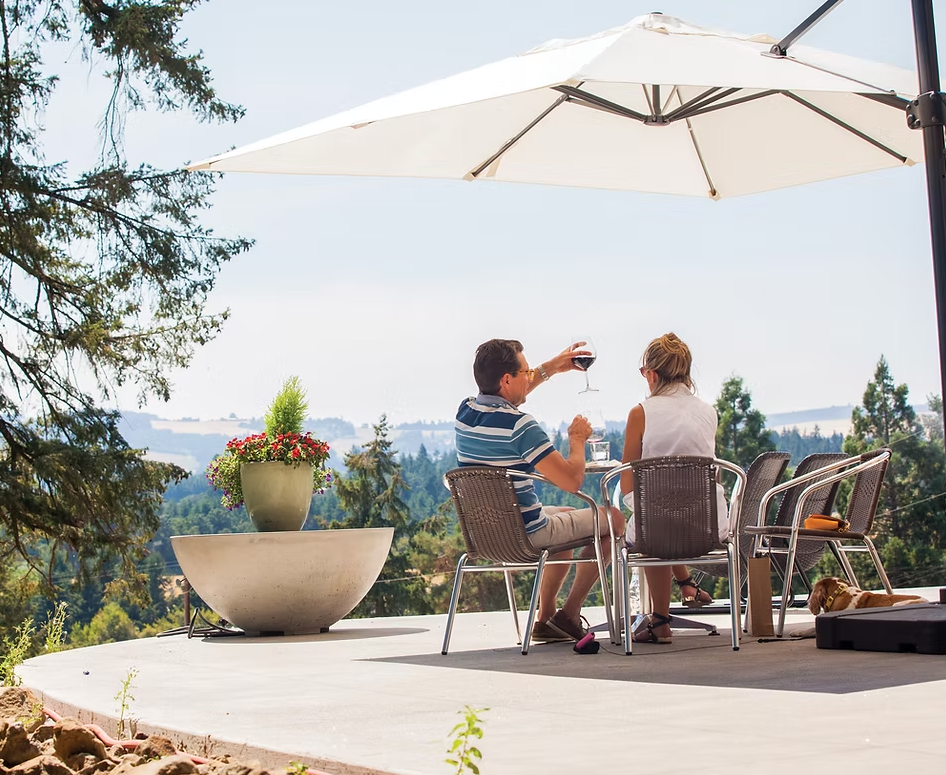 Tastes of Spring: A Wine & Market Adventure
